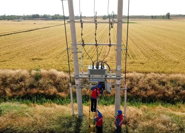 配電箱助力“電力保”―農(nóng)民有了“電力?！碑a(chǎn)業(yè)發(fā)展質(zhì)效